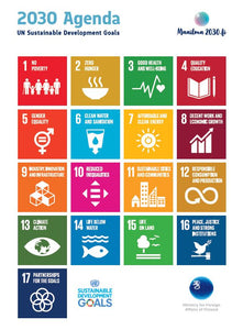 Tuotekuva 17 Global Goals